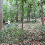 Rutledge Park Workday No. 2