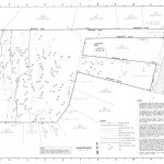 Rutledge Park Survey - Existing Conditions
